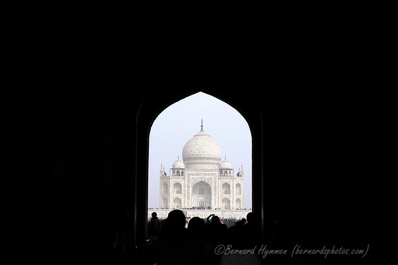 D300_70795