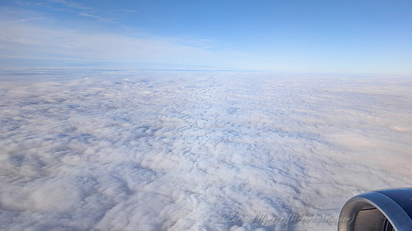PXL_20250204_143926661