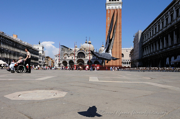 D300_45537.jpg