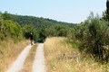 D300_135859