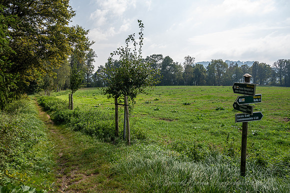 Z6_186616