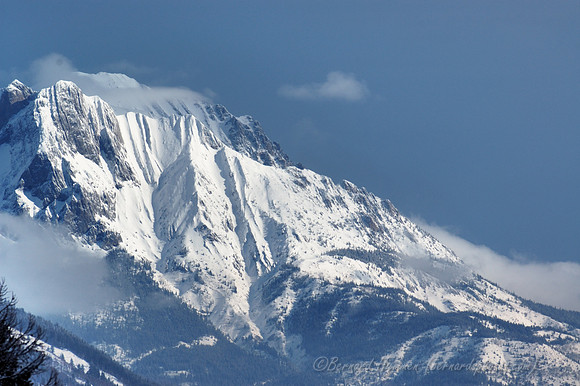 D70_20920.jpg