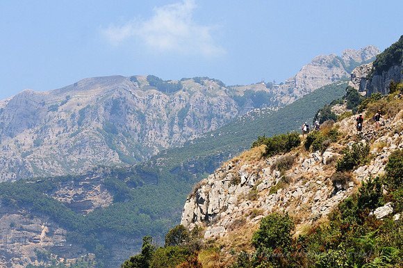 D300_134983