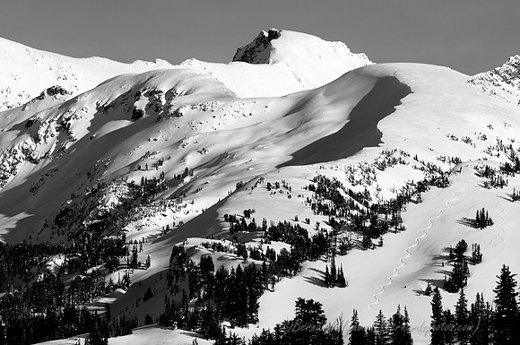 D300_60280
