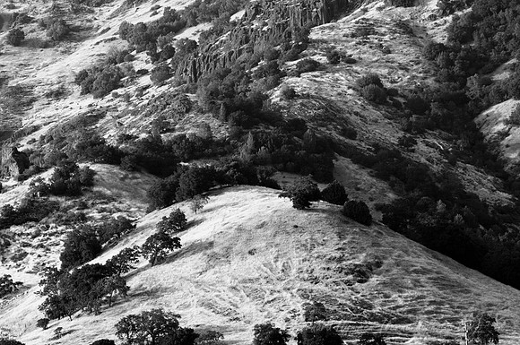 D300_31961