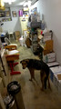 WP_20141122_09_32_20_Pro