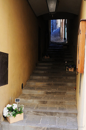 D300_135520