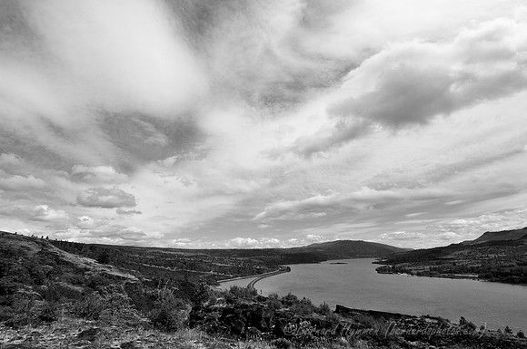 D300_96223