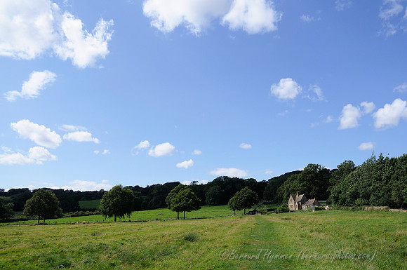 D300_99687