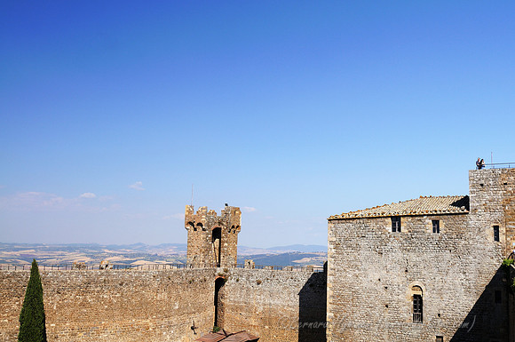 D300_135696