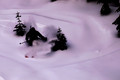 D300_29211