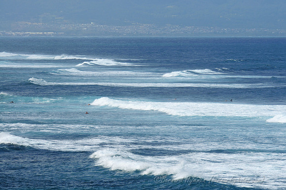 D300_125388