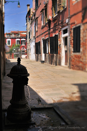D300_44853.jpg