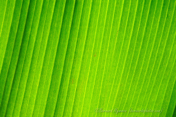 D300_125907