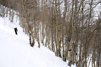 Skiers