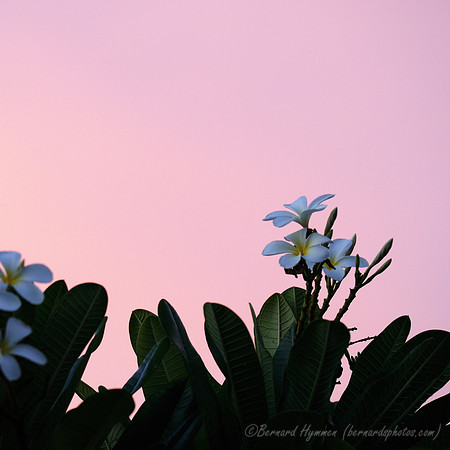 D300_58162