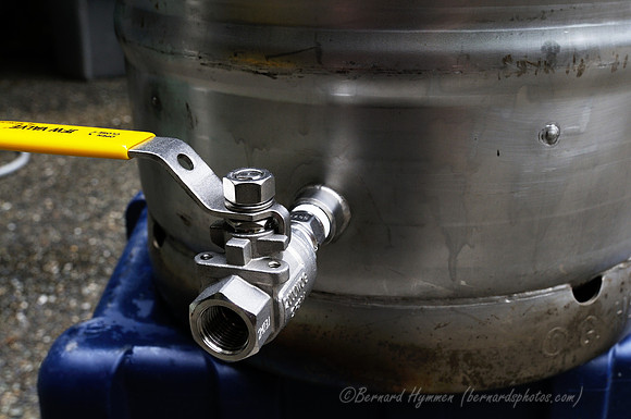 D300_88294