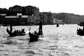D300_45669.jpg