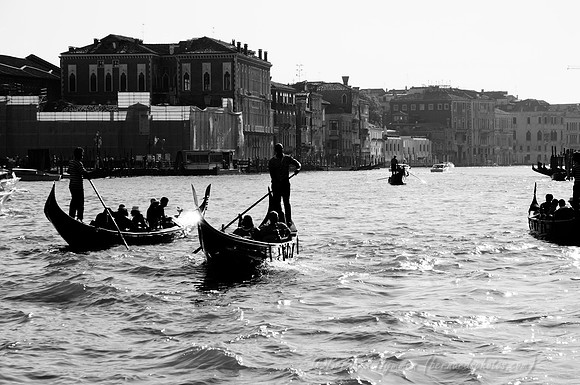 D300_45669.jpg