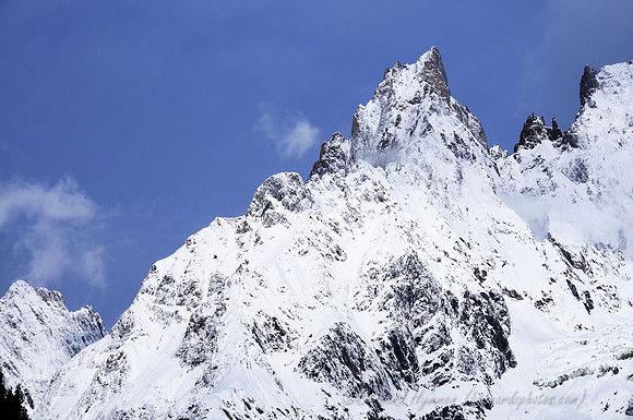 D300_84858