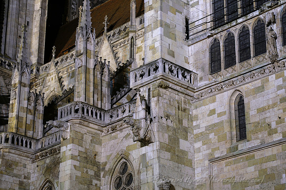 D300_75572