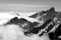 D70_30957