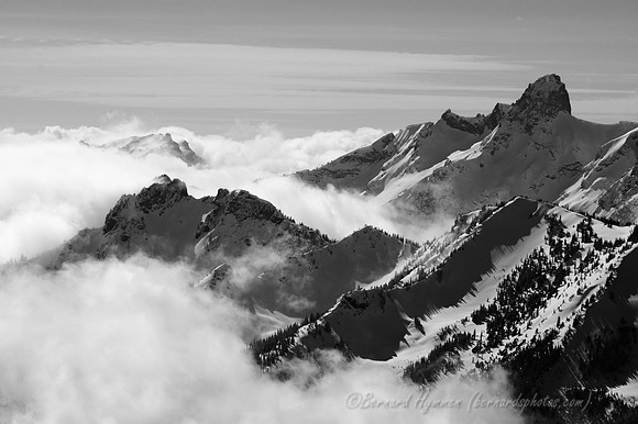 D70_30957