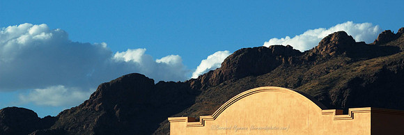 D70_27445