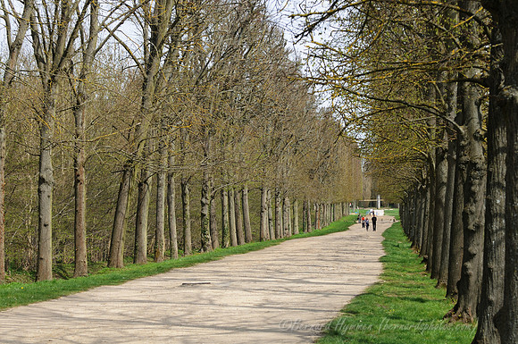 D300_85651