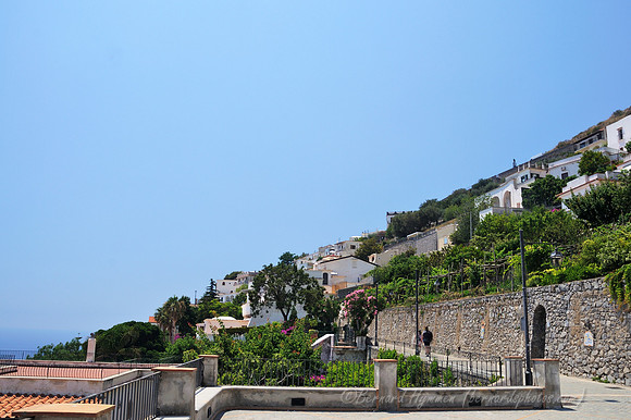 D300_134717