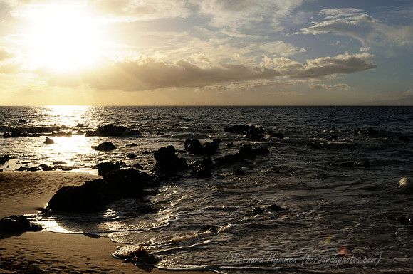 D300_124986