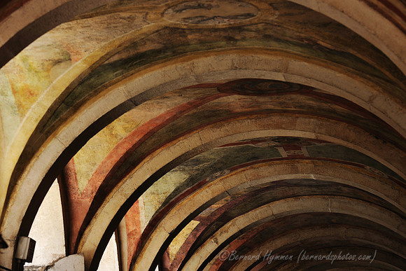D300_44736.jpg