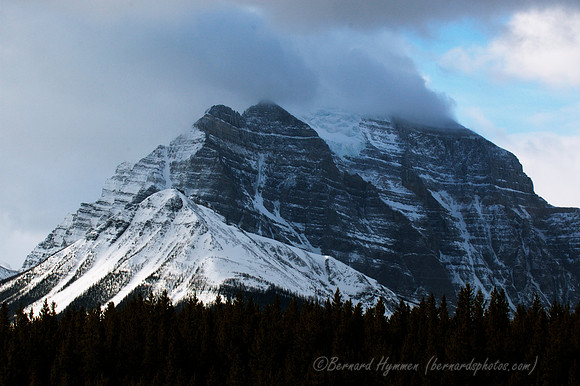 D70_21139