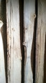 WP_20140719_023