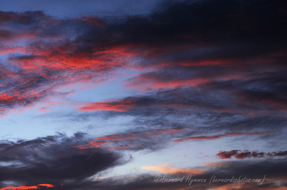 D300_125321