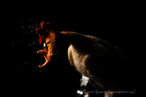 D70_22825
