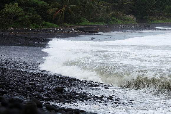 D300_125566