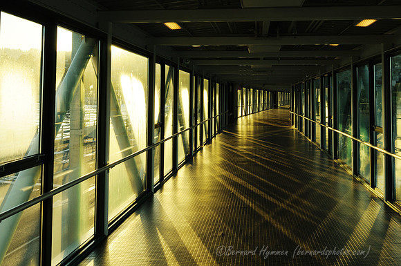 D300_65720
