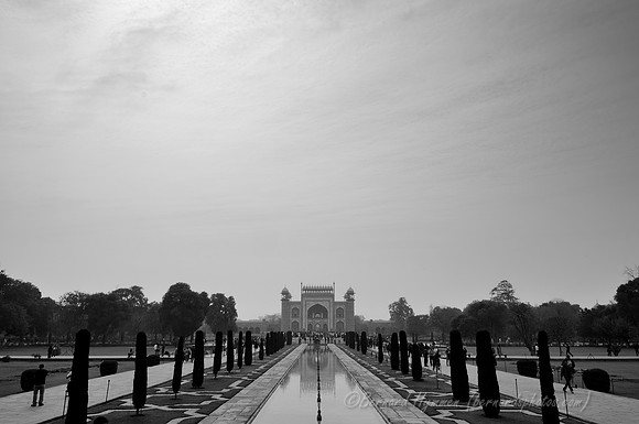 D300_70815