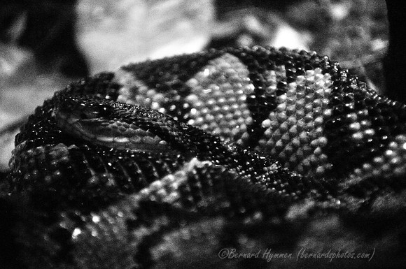 D300_98307