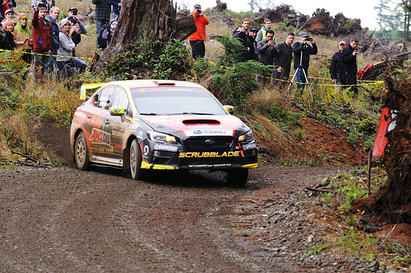 D300_145066