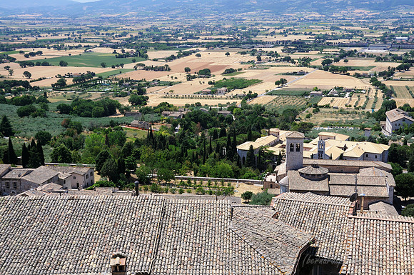 D300_135763