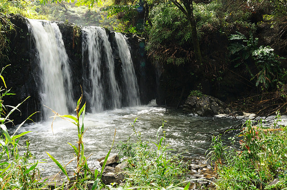D300_125475