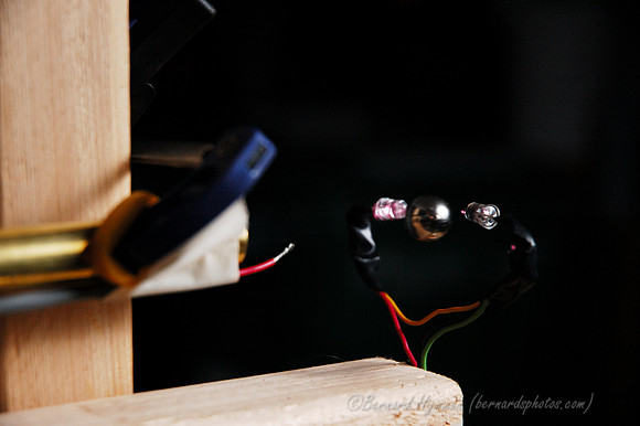 D70_21194