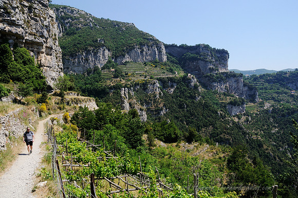 D300_134648