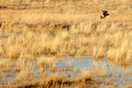 D300_59401