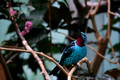 D300_142456
