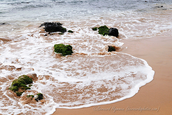 D300_124878