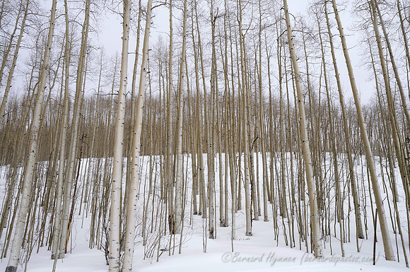 D300_120002
