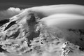 D70_30955